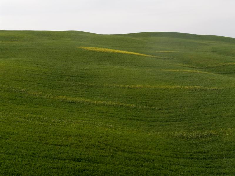 Terra di Siena